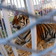 Jonathan Bachman/AP Images